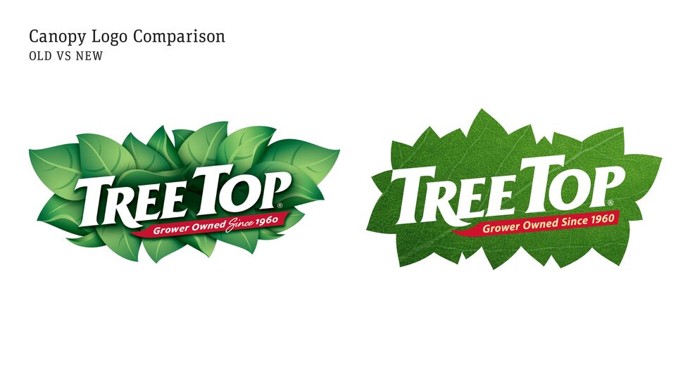 Treetop 11